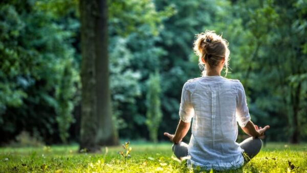 Foundations: Body Mind and Sanctuary Part 2 - Living and Working Holistically