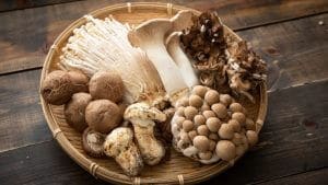Medicinal Mushrooms for Your Health