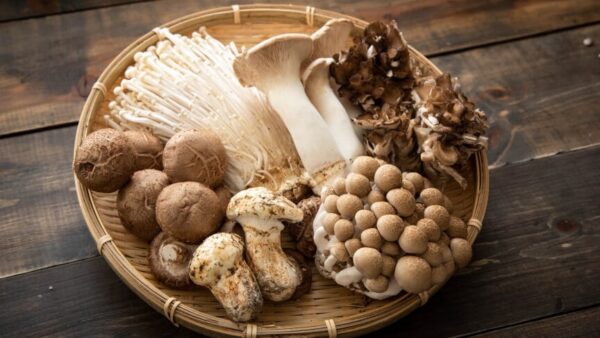 Mushrooms for health
