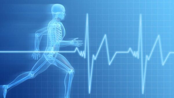 Anatomy and Physiology