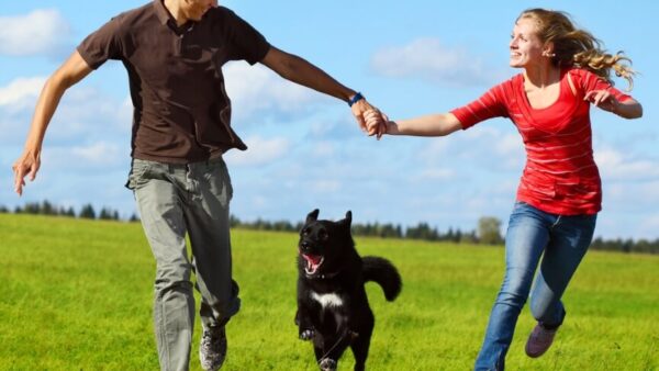 Foundations: Getting Energy & Vitality in Your Life
