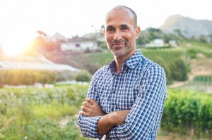 Healthy Prostate