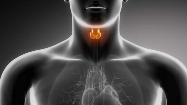 Foundations: Conquering Thyroid Disorders