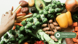 Food Allergy Solutions