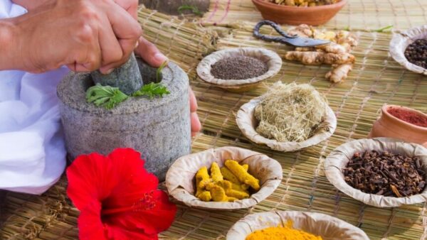 Foundations: Journey into Ayurveda Course