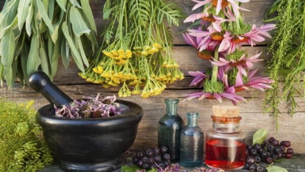 Foundations: Kitchen Table Medicine - Culinary Cures for Life's Everyday Health Problems - Six Part Series