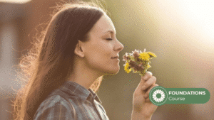 Seasonal Allergy Relief Naturally