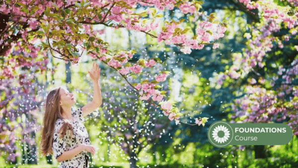 Spring Allergies