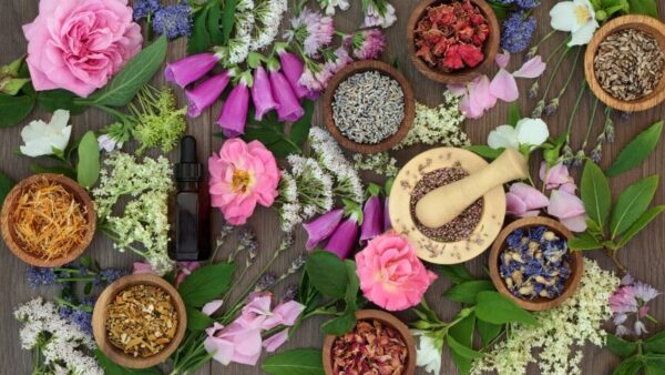 Foundations: Top Ten Essential Western Herbs