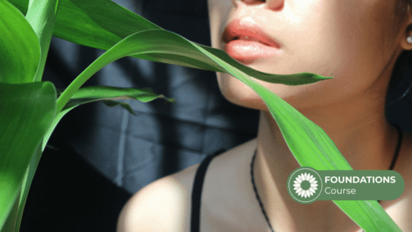 Chinese Beauty Secrets