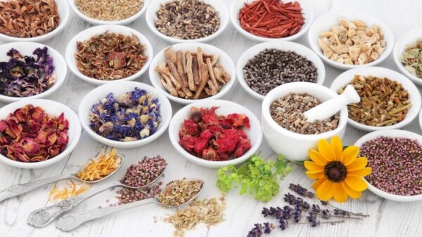 Professional: Western Herbs for Ayurvedic Practitioners Course