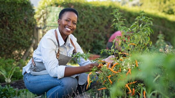 Holistic Support for Endometriosis