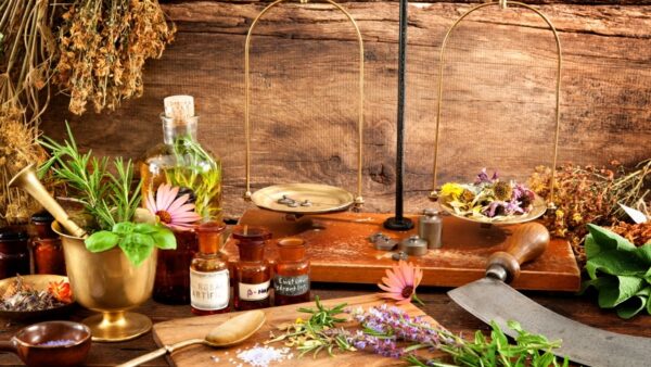 Herbalist Course