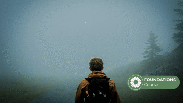 Brain Fog