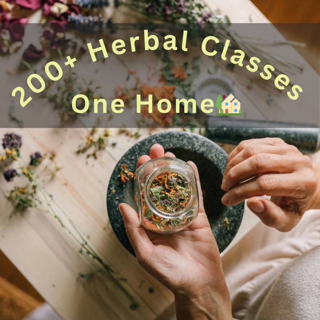 Join Our Global Herbalism Academy