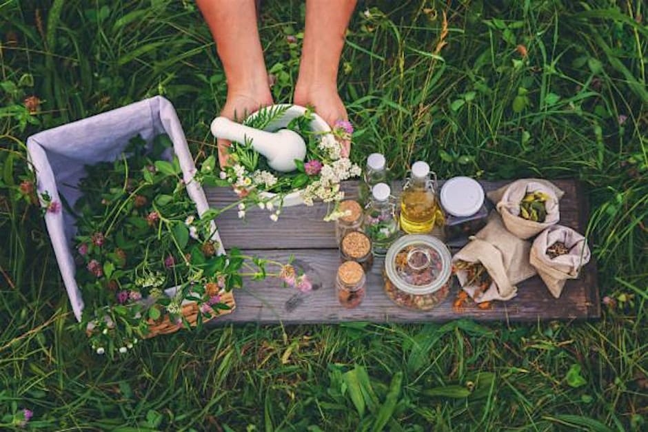 herbal first aid